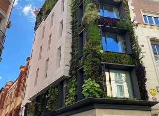 Green wall going up building