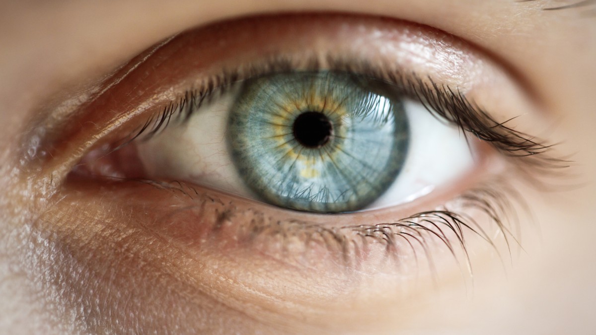 Close up image of a human eye
