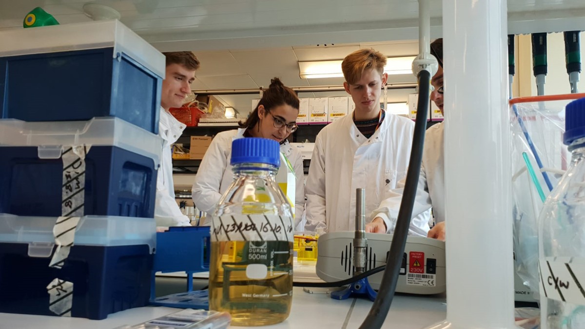 Quantum biology students in the laboratory
