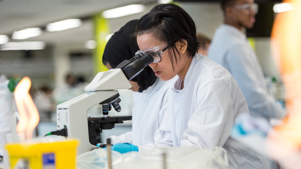 Student looking down a microscope