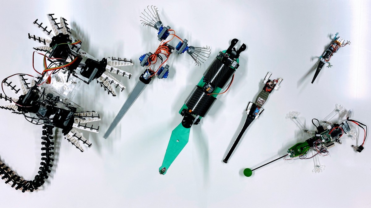 Robotic Reptiles