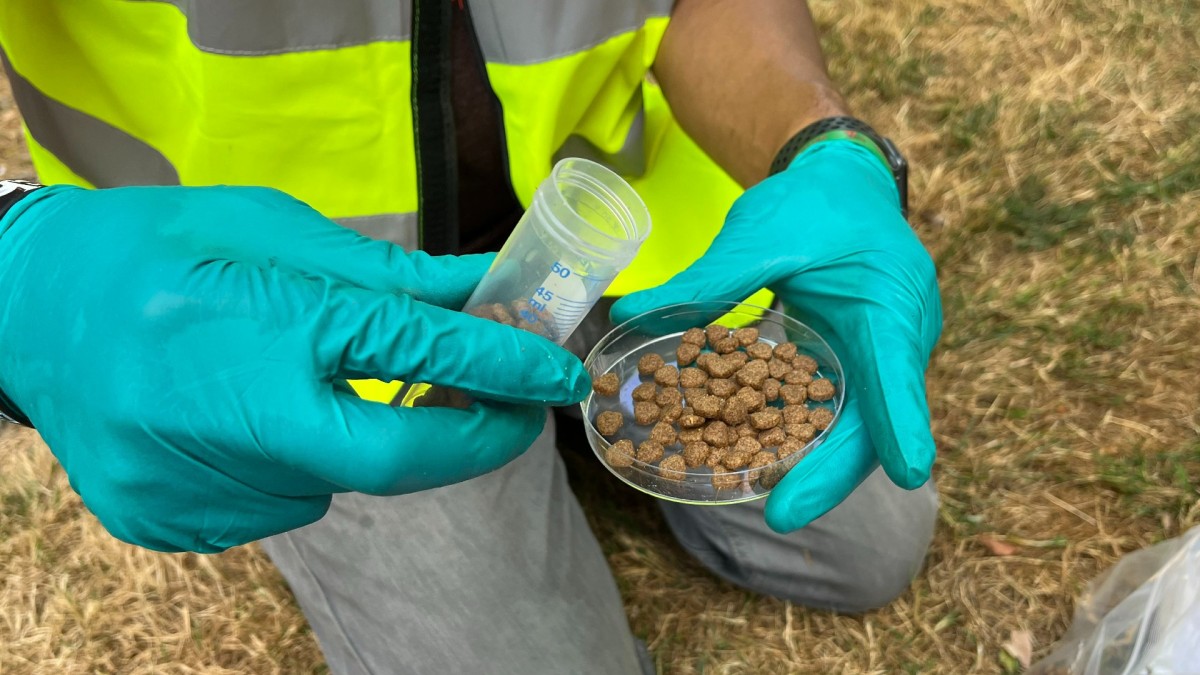 Food is placed inside the hedgehog tunnel