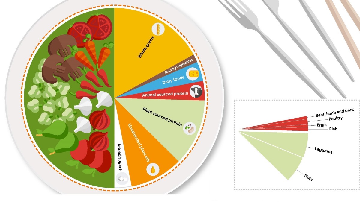 EAT-Lancet Commission Summary Report (Figure 3)