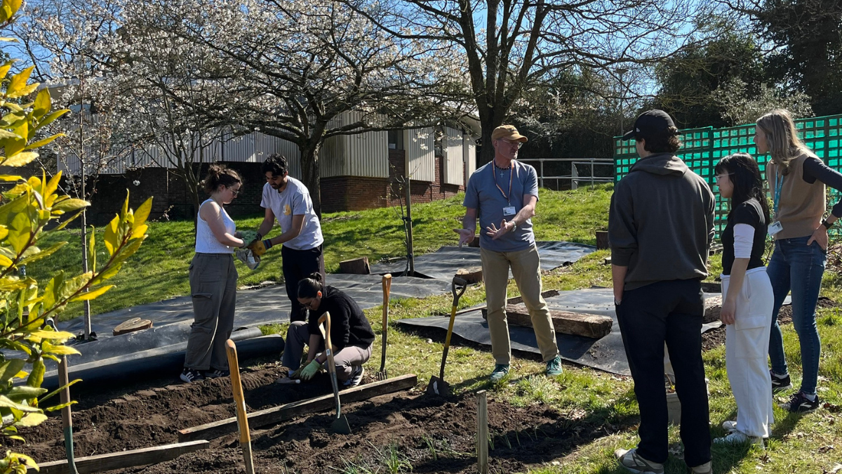 A group of students and staff gardening