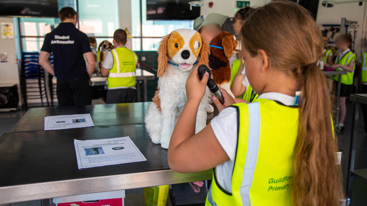 Primary School students at the Surrey Vet School