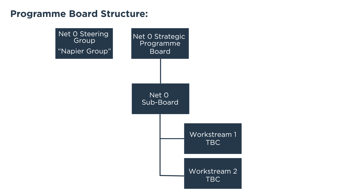NZC programme board structure