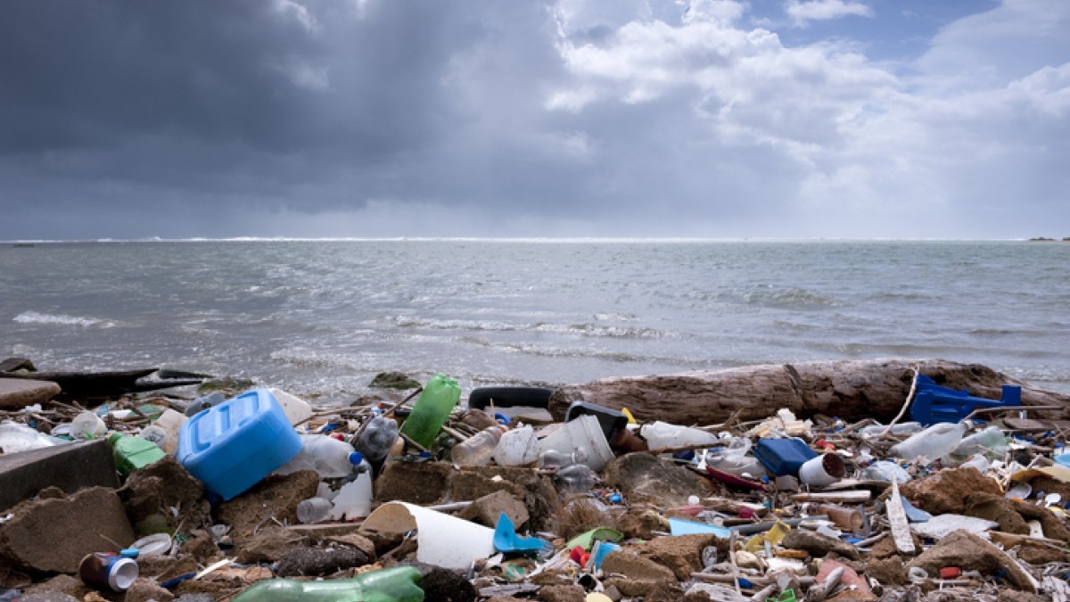 Plastic litter on beach