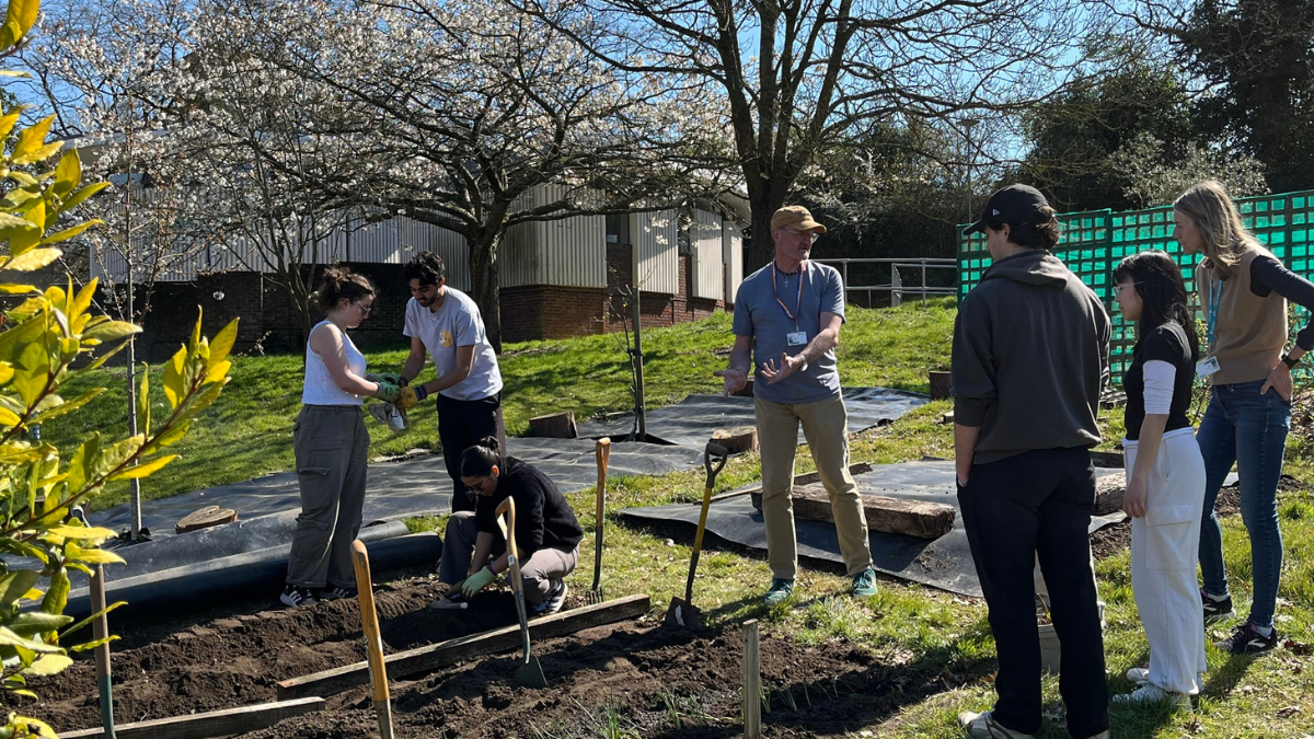 Staff and students working at the community garden