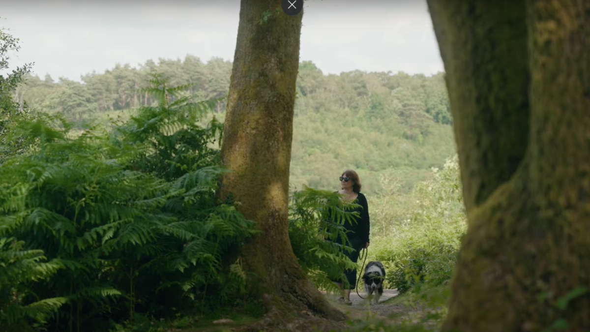 A woman walking in the woods with a dog