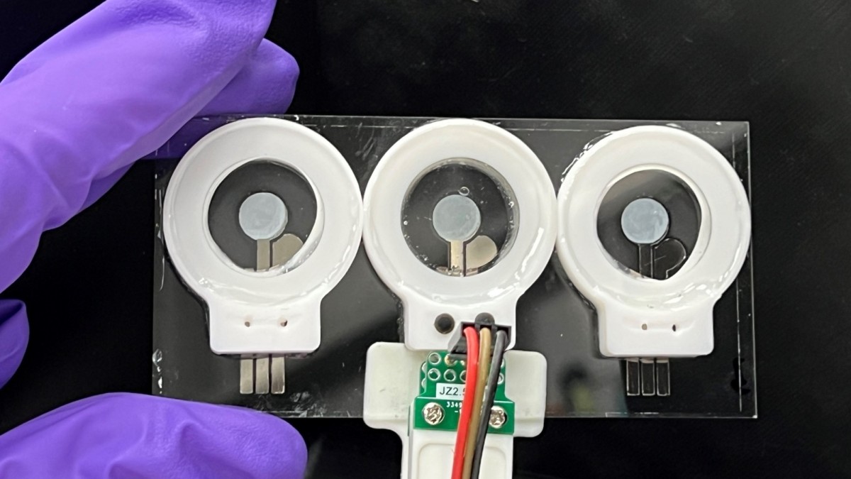 Portable testing chips