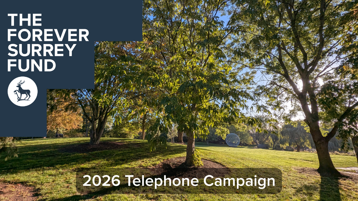 A photograph of campus with trees and The Forever Surrey Fund logo