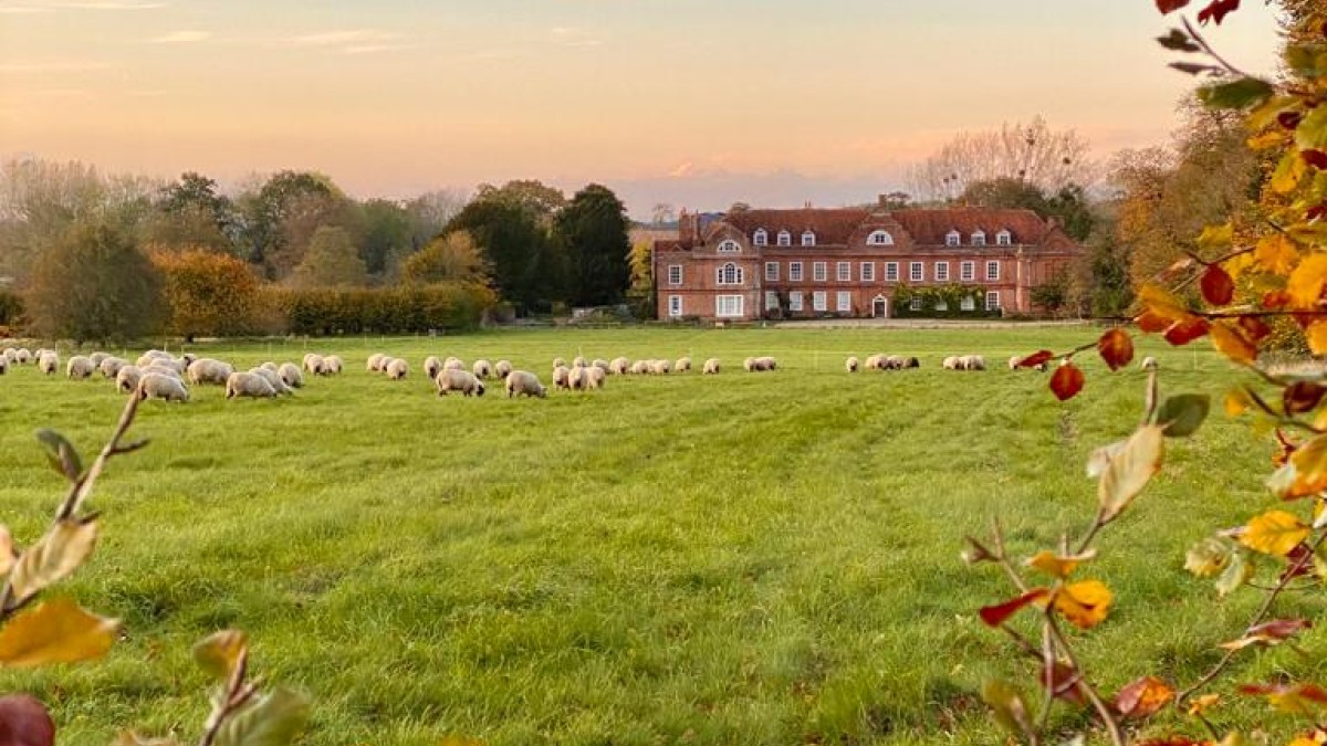 West Horsley Place Estate, overlooking the manor house