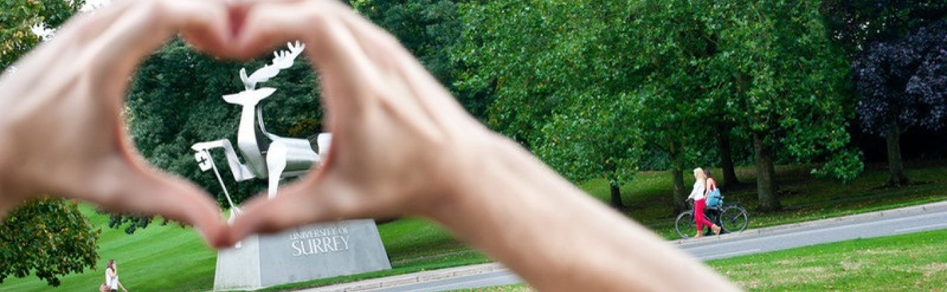 In2Surrey Application Launch 2019/20